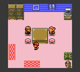 Centrum opieki w Johto